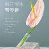 Tubos de Nutrición para Flores para Cultivo de Flores, Retención de Agua, Almacenamiento de Agua, Tubos Transparentes, Tubos de Plástico de Conservación para Flores, Tubos de Materiales Florales para Floristerías