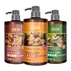 Procesamiento OEM de Jengibre, Multiflorum, Sophora Flavescens Champú, Acondicionador, Control de Caspa, Control de Grasa Champú, Fábrica de Cuidado y Personalización