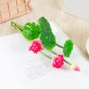 Pequeno Lótus Ninfeia Decoração de Casa Hotel Aquário Ornamentos Decoração de Engenharia Flores Atacado Plantas Verdes Mais Vendidos Alta Simulação