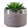 Directo de fábrica maceta para planta carnosa personalizable gruesa certificación BSCI exportación escritorio Balcón decoración