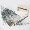 Plantas Verdes Artificiales, Ramo de Mano de Flores de Gipsofila para Enamorados, Decoración de Arreglo Floral para Jardinería Interior y Exterior del Hogar, Plantas Falsas