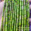 4 * 13mm natural imperador tubo de pedra contas soltas contas diy artesanal frisado pedra natural cilíndrica barril contas espaçador contas