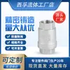 Válvula de Retenção de Aço Inoxidável 304 Válvula Unidirecional Anti-Retorno Válvula de Não Retorno para Bomba de Água e Tubo de Água 1/2 Polegada 3/4 Polegada Dn25 Peças Padrão