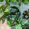 Hojas de Caladio Simuladas con Adhesivo Trasero, 10 cm, Accesorios para Colgar en la Pared DIY, Plantas Verdes Artificiales, Hojas de Potos, Hojas Verdes