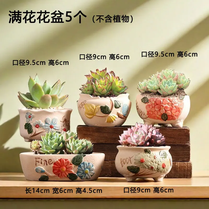 T-067满花花盆5个
