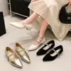 Zapatos de mujer de tacón grueso con punta estilo francés, nuevo estilo de hada para otoño 2026, adecuados para combinar con faldas, con correa de pedrería, zapatos Mary Jane