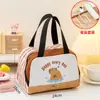 Bolsa Térmica para Marmita para Estudantes e Trabalhadores de Escritório, Bolsa de Almoço, Bolsa Térmica, Bolsa de Mão com Folha de Alumínio Espessa, Bolsa Térmica Fofa para Marmita
