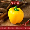 Decoração de Pimenta Verdura Falsa Pimenta Vermelha Picante Pimenta Verde Modelo Adereços de Fotografia Frutas Penduradas para Restaurante Brinquedos