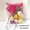 Paquete de materiales de flores secas de flor eterna Marco de fotos DIY Pegatina Ventilador redondo Grupo flotante Actividad de construcción de modelos Clase de arte floral Paquete de materiales florales de Wuhan
