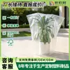 Saco de proteção de plantas transparente de PE para flores e mudas, à prova de vento, à prova de geada e isolado, comumente usado ao ar livre, o tamanho pode ser personalizado
