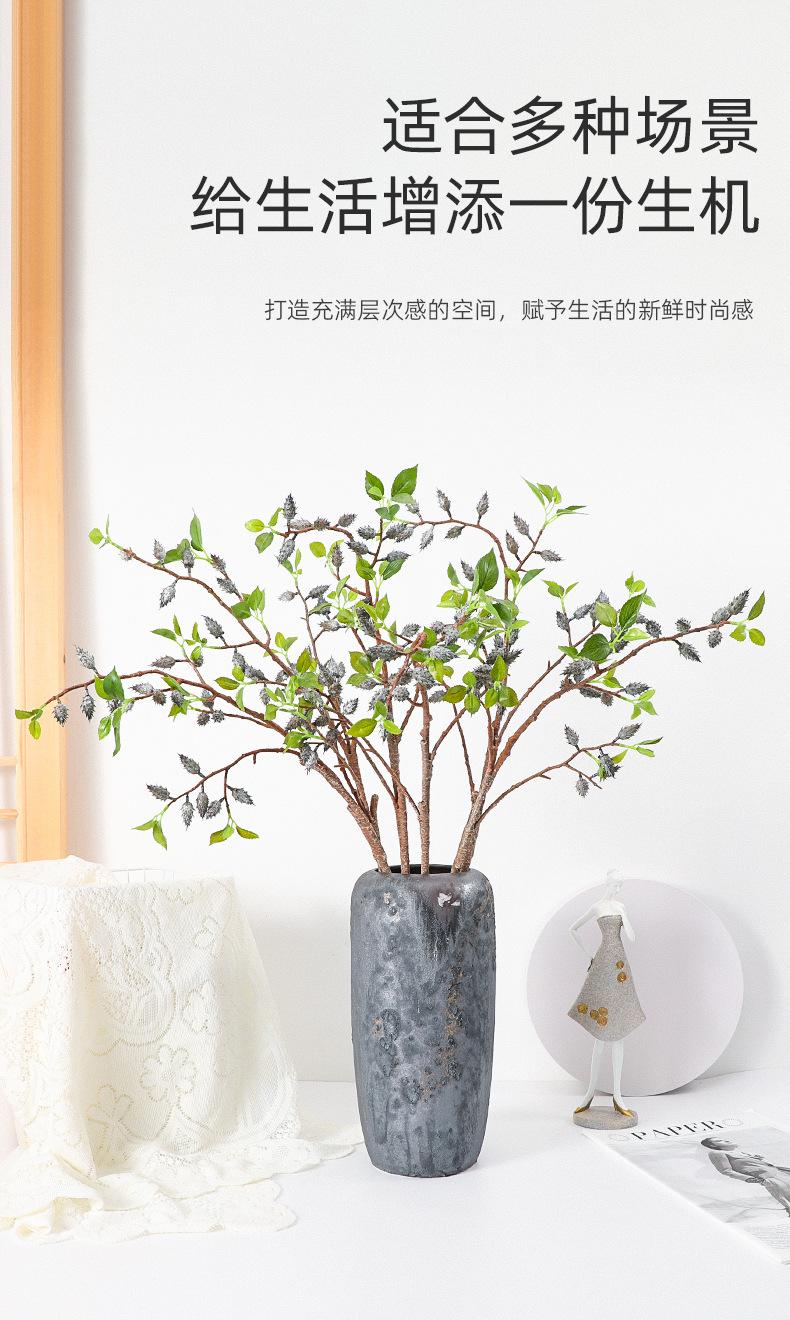 中枝橄榄果详情图