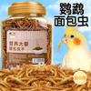 Recompensas de Entrenamiento de Snacks para Loros Comida para Pájaros Palo para Molar Gusano de Pan Mordida Especial Xuan Feng Piel de Tigre Sol Pequeño