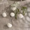 Fabricante de Dientes de León Estilo Ins Flores Artificiales Flores Falsas Plantas Verdes Venta al por Mayor Decoración de Bodas Manualidades Transfronterizo