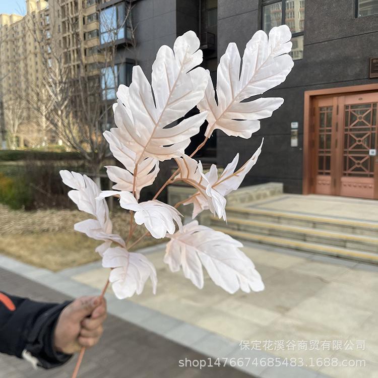 香槟.JPG