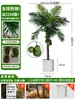 Grande Palmeira Areca Simulada Planta Tropical Coqueiro Planta Verde Biônica de Interior Árvore Falsa Atmosfera Paisagismo Ornamentos em Vaso