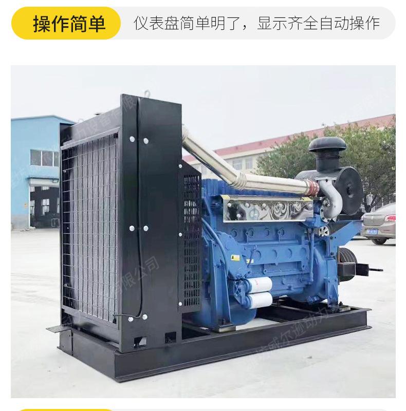 固定动力柴油机_10.jpg