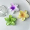 Suministro Directo Transfronterizo de Pinzas para el Cabello de Flor de Plumeria, Accesorios para el Cabello de Alta Gama, Pasadores Florales Vintage, Pinzas Laterales, Pinzas para Cola de Caballo