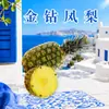 Piña Dorada de Hainan Dropshipping Fruta Fresca Tropical Caja de Regalo de Temporada Pulpa Tierna Fruta Fresca para Regalar
