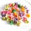 Varios Tipos de Flores Prensadas en Polvo de Concha de Agujero Recto (Flores de ciruelo, Flores de cerezo, Enredaderas de la mañana) Materiales y Accesorios para Accesorios de Cabello Hechos a Mano DIY