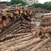 Paleta de diseño a prueba de humedad de madera maciza completamente nueva, disponible en varios largos y anchos, adecuada para uso en almacén con montacargas