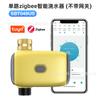 Dispositivo Inteligente de Irrigação Zigbee de Canal Único Transfronteiriço para Jardim e Gramado, Dispositivo de Irrigação de Flores com Controle por Temporizador, Irrigação Automática