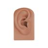 Simulação de silicone 5D falso modelo de orelha tatuagem piercing orelha brincos brincos audição auxiliar acupuntura treinador ear picking ensino