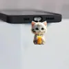 El Nuevo Tapón de Polvo Acrílico es Adecuado para la Interfaz Lightning y la Interfaz Tipo-C de los Teléfonos Móviles Apple