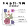 Flores Secas Naturales, Flores Prensadas, Paquete de Materiales Hechos a Mano para DIY, Hojas, Flores Reales, Marcadores de Libros, Espécimenes de Plantas, Marcos de Fotos, Lámparas de Mesa, Decoraciones