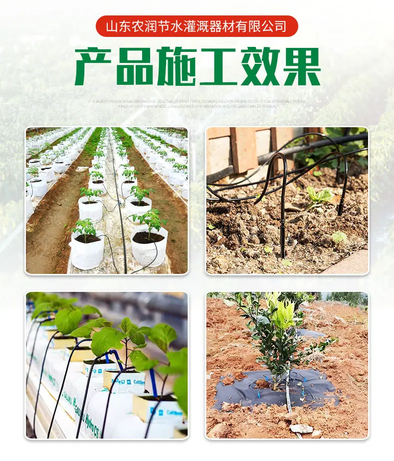 滴箭_06.jpg