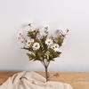 Morandi Daisy simulação buquê camomila flor falsa mesa decoração floral fotografia adereços