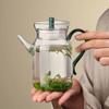 Ventas Directas de Fábrica Tetera de Vidrio Verde de Borosilicato Resistente al Calor Tetera Estilo Japonés con Flores Set de Té Kung Fu
