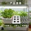Caja Grande de Plantación Hidropónica Hogar Plantación de Verduras Contenedor Hidropónico sin Contaminación Interior Experimento Estudiantil Cultivo de Plántulas Hidropónicas