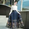 Hanfu de la Dinastía Ming para Mujer Nuevo Estilo 2024 Falda de Cara de Caballo Mejorada para Viajes Diarios Nuevo Estilo Chino Estilo Nacional Falda de Cara de Caballo Adelgazante traje