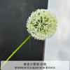 Nova bola de cebola simulação de casamento flor sala de estar casa flor decorativa única flor dente de leão plástico planeta hortênsia