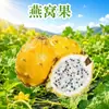 Fruta de Nido de Pájaro de Hainan, envío directo de una sola pieza 1/2/3/ 2.5 kg piel amarilla fina, alta dulzura, caja de regalo, embalaje colorido, caja completa de fruta fresca