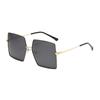 Gafas de Sol Polarizadas para Mujer de Moda Transfronteriza Nueva Europea y Americana, Montura Grande Cyber Celebrous Anti-UV para Conducir para Hombre