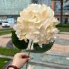 Comercio exterior simulación de champán fabricantes de hortensias crema de champán rosa camino de boda plomo flores falsas suaves al por mayor