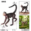 Juguetes Cognitivos Transfronterizos para Niños Modelo de Animal Sólido Simulación Orangután Mono Simio Babuino Mono Araña Mono de Cola Larga Adornos
