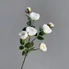 7 Cabezas de Rosas Camelia Artificiales, Flores Artificiales, Flores Secas, Rosas de Rama Única para Decoración de Sala de Estar, Diseño de Paisajismo Exterior
