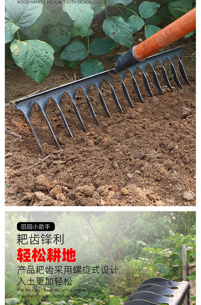 3 拷贝.jpg