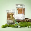 Buka Star Limpeza de Estoque da Série Completa de Pequenos Animais Hamster Hamster Dourado Periquito Calopsita Alimentos Suprimentos Itens para Limpeza