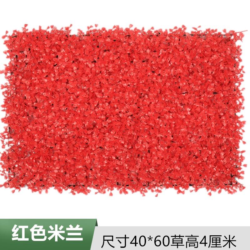 红色米兰.jpg