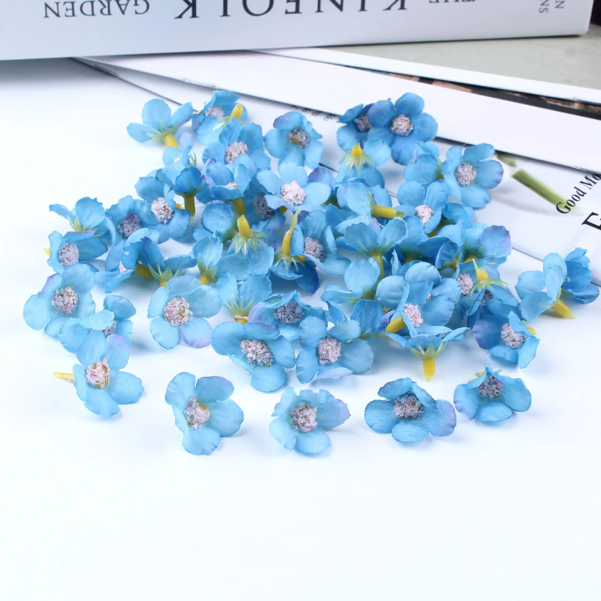 迷你小菊花28