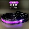 Cuero Reflectante LED Impermeable IPX7 Carga Tipo C Mascota Collar Luminoso Cuadros Collar para Perro Collar Eléctrico para Perro Noche