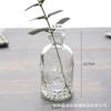 Venta Caliente Transfronteriza Amazon Jarrón Pequeño Adornos de Decoración de Escritorio Set de Botellas Pequeñas de Vidrio Transparente de Gama Alta Venta al por Mayor