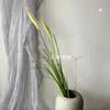 Boda Estilo Coreano con Plantas Verdes Frescas, Decoración de Ramo de Flores Atado a Mano de Graduación, Arreglo Floral, Decoración de Flores Artificiales Estilo Jardín Monet Estilo Bosque