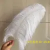 Plumas de Avestruz Reales 10-80CM Blancas Decoraciones para Pasillo de Boda Centros de Mesa Plumas de Avestruz DIY Accesorios Decorativos de Plumas Plumas Grandes