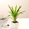 Planta-aranha Flor Artificial Borda Dourada Planta Pequena em Vaso Decoração de Sala de Estar Quarto Mesa Flor Artificial Decoração de Casa Ornamento Planta em Vaso Simulada