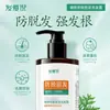 Shampoo Faai Ni Plant Anti-Queda e Fortalecedor com Cânfora e Folhas de Platycladus Orientalis, Shampoo Anti-Queda, Remoção de Oleosidade, Suavizante e Fortalecedor de Raízes