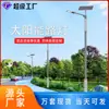 Poste de Rua com Padrão Solar 6m LED Estilo Étnico Iluminação Externa Nova Construção Rural Engenharia Municipal Fabricante de Poste de Rua